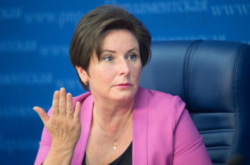 Разворотнева предложила устанавливать газоанализаторы за счет тарифов на поставку газа
